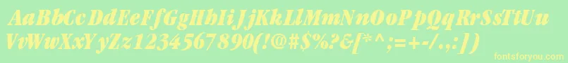 GaramondblackcondsskBoldItalic Font – Yellow Fonts on Green Background