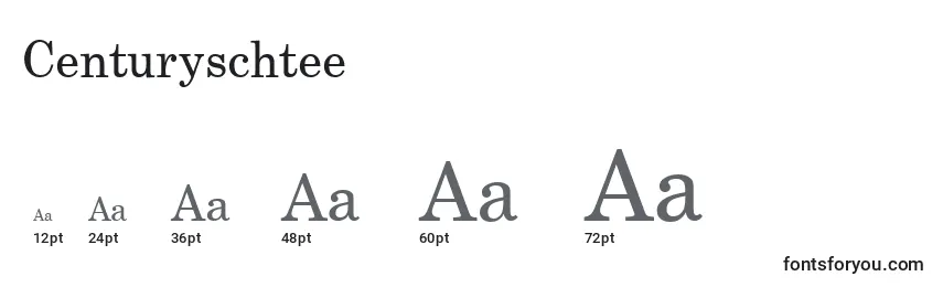 Centuryschtee Font Sizes