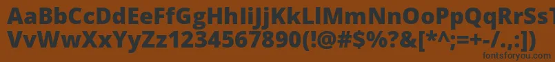 OpenSansExtrabold Font – Black Fonts on Brown Background