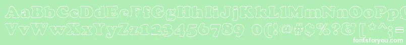 CookiehollowRegular Font – White Fonts on Green Background