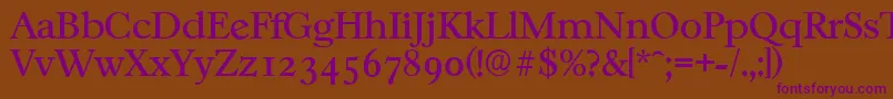 CasablancaserialRegular Font – Purple Fonts on Brown Background