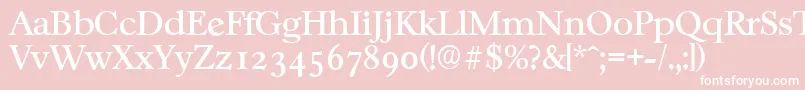 CasablancaserialRegular Font – White Fonts on Pink Background