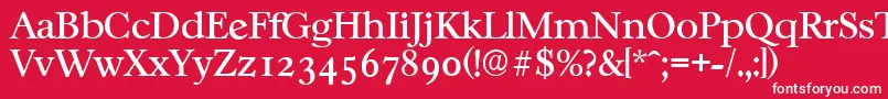 CasablancaserialRegular Font – White Fonts on Red Background