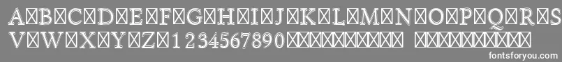 フォントLinlibertineI – 灰色の背景に白い文字