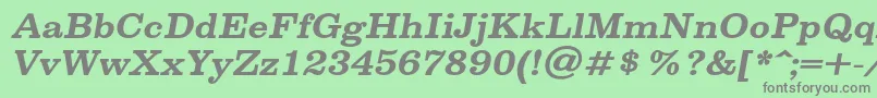 SpslclarendoncBolditalic Font – Gray Fonts on Green Background