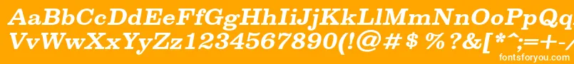 SpslclarendoncBolditalic Font – White Fonts on Orange Background