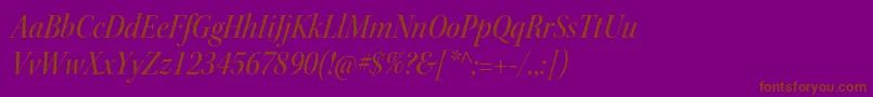 KeplerstdMediumscnitdisp Font – Brown Fonts on Purple Background