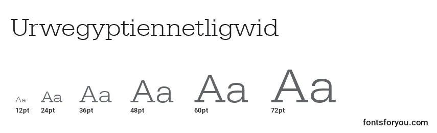 Размеры шрифта Urwegyptiennetligwid