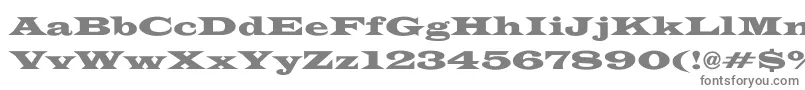 フォントEspanaWide – 白い背景に灰色の文字