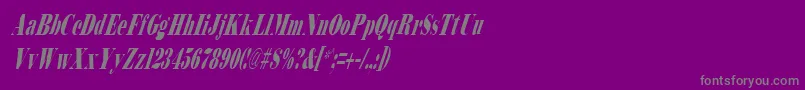 BodidlyItalic Font – Gray Fonts on Purple Background