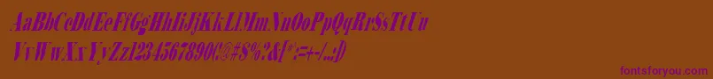 BodidlyItalic Font – Purple Fonts on Brown Background