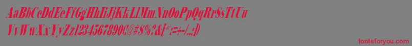 BodidlyItalic Font – Red Fonts on Gray Background