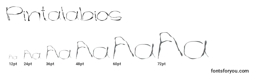 Размеры шрифта Pintalabios