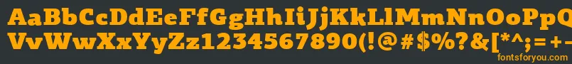 フォントPfagoraslabproUltrablack – 黒い背景にオレンジの文字