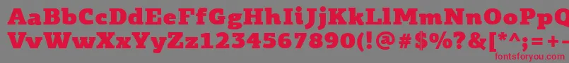 PfagoraslabproUltrablack Font – Red Fonts on Gray Background