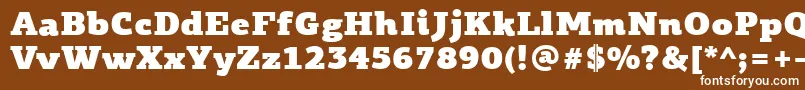 フォントPfagoraslabproUltrablack – 茶色の背景に白い文字