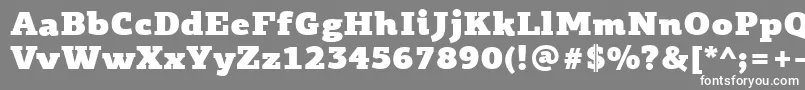 フォントPfagoraslabproUltrablack – 灰色の背景に白い文字