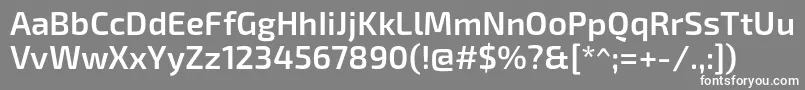 Exo2Semibold Font – White Fonts on Gray Background
