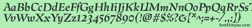 フォントPreissigBolditalic – 緑の背景に黒い文字