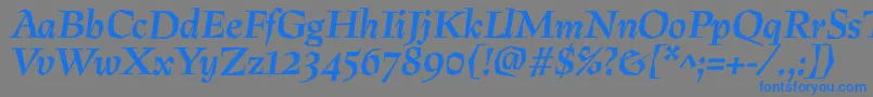 PreissigBolditalic Font – Blue Fonts on Gray Background