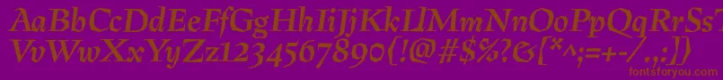 PreissigBolditalic Font – Brown Fonts on Purple Background