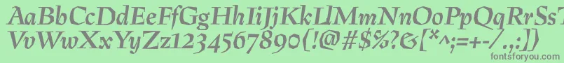 PreissigBolditalic Font – Gray Fonts on Green Background