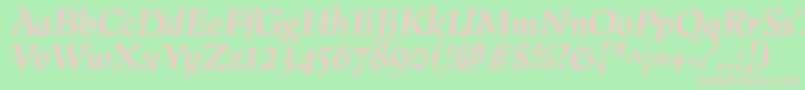 PreissigBolditalic Font – Pink Fonts on Green Background