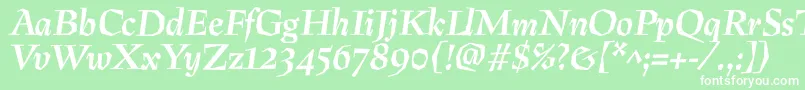 PreissigBolditalic Font – White Fonts on Green Background