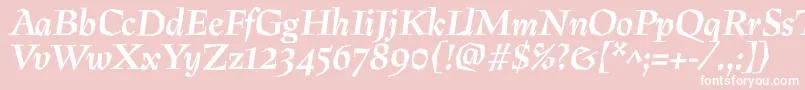 PreissigBolditalic Font – White Fonts on Pink Background