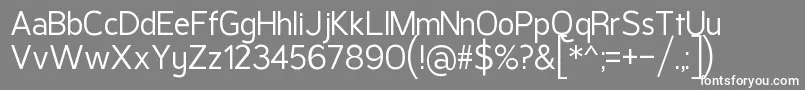 フォントPragmaSans3 – 灰色の背景に白い文字