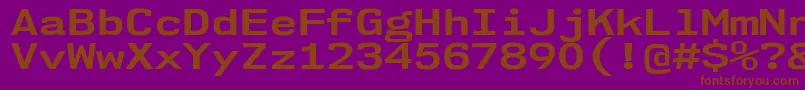 Nk57MonospaceExBd Font – Brown Fonts on Purple Background