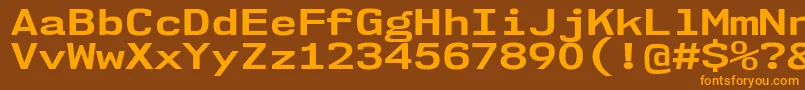 Nk57MonospaceExBd Font – Orange Fonts on Brown Background