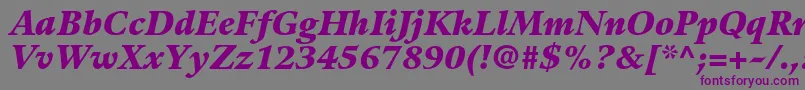 GuardiltstdBlackitalic Font – Purple Fonts on Gray Background