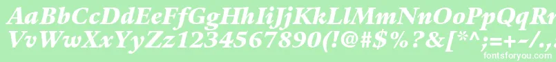 GuardiltstdBlackitalic Font – White Fonts on Green Background