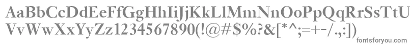KisClassicoBold Font – Gray Fonts on White Background