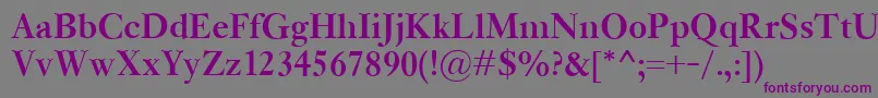 KisClassicoBold Font – Purple Fonts on Gray Background