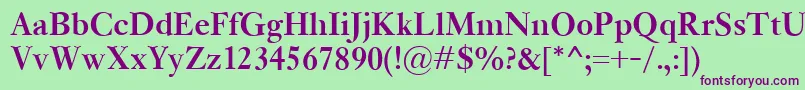 KisClassicoBold Font – Purple Fonts on Green Background