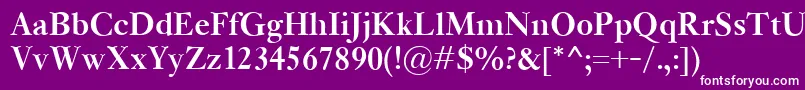 KisClassicoBold Font – White Fonts on Purple Background