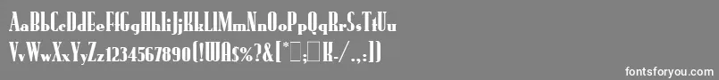 フォントRundfunkLetPlain.1.0 – 灰色の背景に白い文字