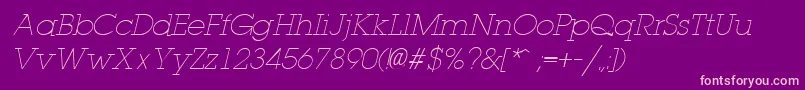 LaplandLightItalic Font – Pink Fonts on Purple Background
