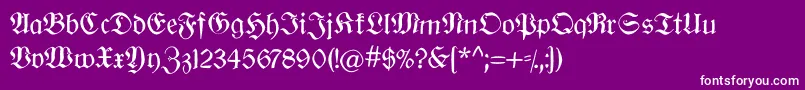 Oldberlin Font – White Fonts on Purple Background