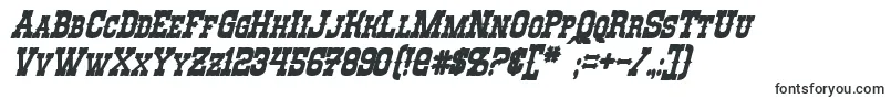 RioOroBoldItalic Font – Fonts for Windows