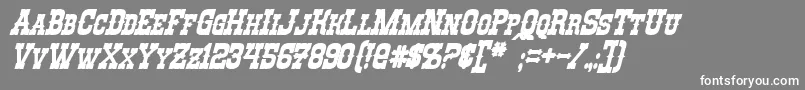 RioOroBoldItalic Font – White Fonts on Gray Background
