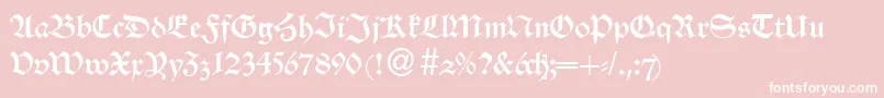 AlsheimdbNormal Font – White Fonts on Pink Background