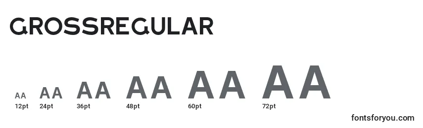 Размеры шрифта GrossRegular (89677)