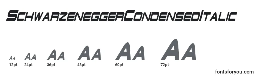 Größen der Schriftart SchwarzeneggerCondensedItalic