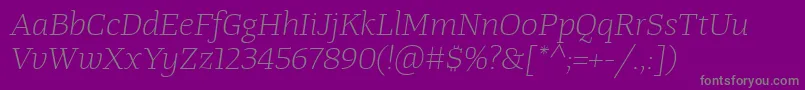 TangerserifwideulLightitalic Font – Gray Fonts on Purple Background