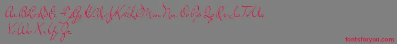 TheLoyalist Font – Red Fonts on Gray Background