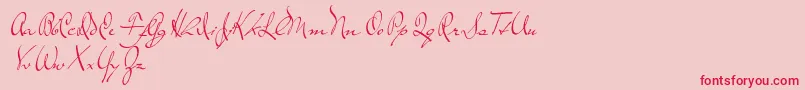 TheLoyalist-Schriftart – Rote Schriften auf rosa Hintergrund