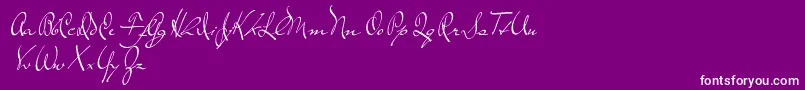 TheLoyalist Font – White Fonts on Purple Background